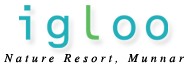 Igloo Resort